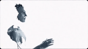 maroon5 maroon 5 love somebody GIF