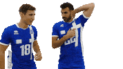 Volleyballgr Sticker by HellenicVolleyballFederation