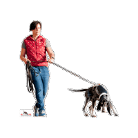 Dog Sticker by GO FIND Suchhunde