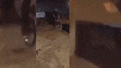 Bike Spin GIF by Greenplace TV