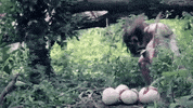diamond youth GIF by Topshelf Records