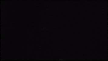 Purple Rain Prince GIF by erichamlet