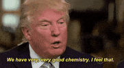 donald trump flirting GIF by Election 2016
