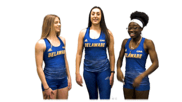College Sports Ncaa Sticker by Delaware Blue Hens