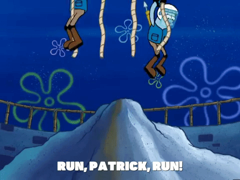 season 4 GIF by SpongeBob SquarePants
