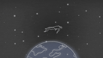 animation airplane GIF by Qieer Wang