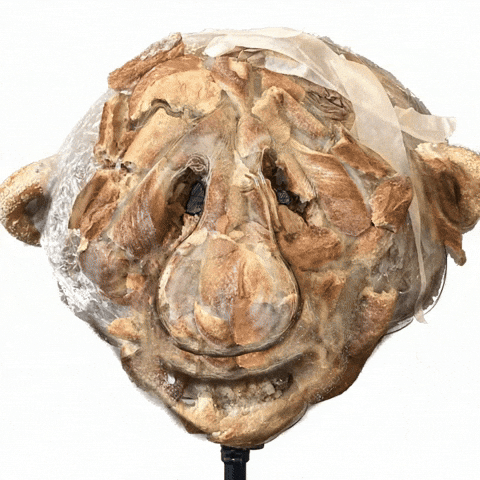 Turbine Walking Bread GIF by Alex Boya