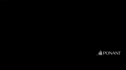 Landscape Discover GIF by PONANT