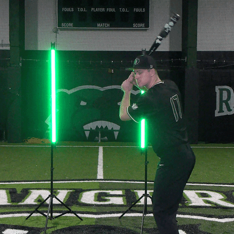 Parkside Baseball GIF by Parkside Athletics
