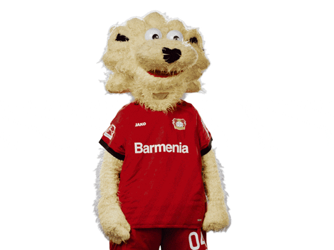 Bayer 04 Time GIF by Bayer 04 Leverkusen