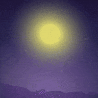 Trick Or Treat Halloween GIF by Magic Eden