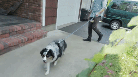prawn rooftops GIF by Topshelf Records