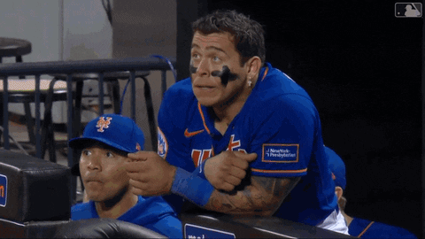 Happy Major League Baseball GIF by New York Mets
