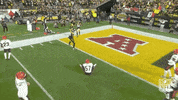 National Football League GIF by NFL