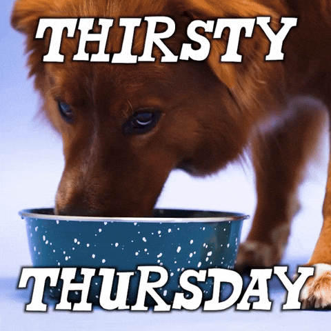 Thursday Drinking GIF by Sealed With A GIF