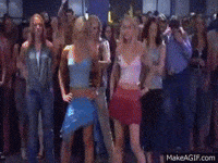 white chicks GIF