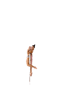 Poledanceacademypraha poledance pda poledancer poledanceacademy Sticker