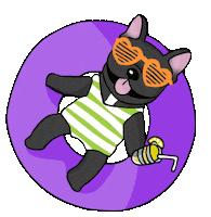Dog Summer Sticker by TEHZETA