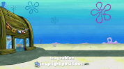 season 9 episode 20 GIF by SpongeBob SquarePants