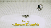 GIF by Anki