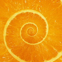 refreshing vitamin c GIF by Feliks Tomasz Konczakowski