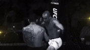 ufc 205 GIF