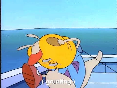 rockos modern life nicksplat GIF