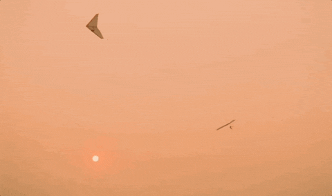 Film Sunset GIF