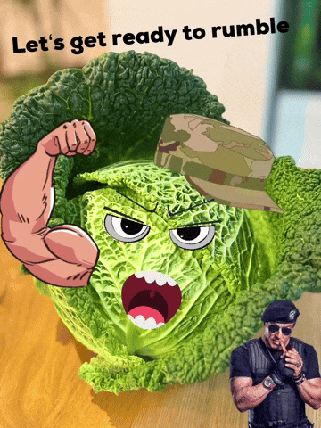 Lets Get Ready To Rumble Fight GIF