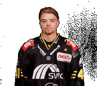 Del2 Seidenstadt Sticker by Krefeld Pinguine