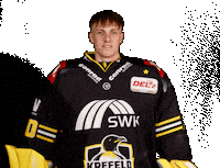 Del2 Seidenstadt Sticker by Krefeld Pinguine