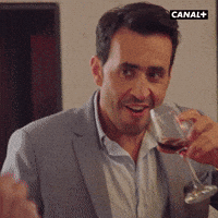 Jonathan Cohen Love GIF by CANAL+