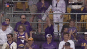 Baton Rouge Baseball GIF by LSU Tigers