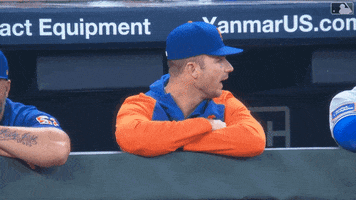 Major League Baseball Sport GIF by New York Mets