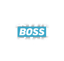 Like A Boss Sticker by E!