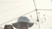 Bb GIF by Habama Music