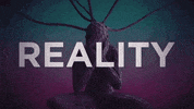 reality GIF by Bro Safari