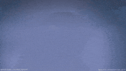 moominofficial moomin moominvalley moomins snufkin GIF