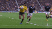 Celebrate World Rugby GIF by Rugby World Cup