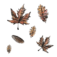shopdixi fall autumn forest leaves Sticker
