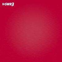 Drunk Happy Hour GIF by SWR3