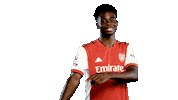 Happy Football Sticker by Arsenal