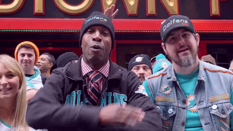 Miami Dolphins GIF by Dolfans NYC