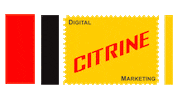 CitrineDigital marketing digital agency citrine Sticker