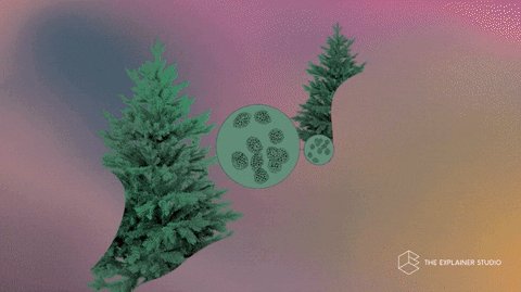 Animation Air GIF by The Explainer Studio