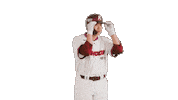 Kbo Sticker by Kiwoom Heroes Baseball Club