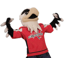 Flexing Ice Hockey Sticker by NHL