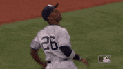 ball fly GIF by MLB