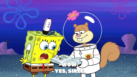 episode 1 GIF by SpongeBob SquarePants