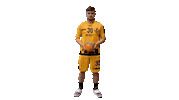 Ball Spin Sticker by Bregenz Handball